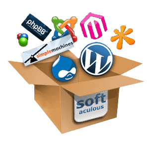 Met één klik installeer je WordPress, Drupal, Magento of Joomla.